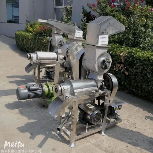 今日報價 三門峽2噸葡萄石榴螺旋榨汁機