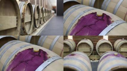 葡萄酒加工葡萄酒加工AE模板下載_光廠(VJ師網(wǎng))